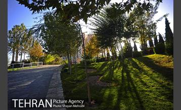 بوستان جوانمردان ایران 38