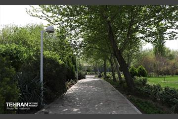 بوستان بانوان نرگس 41