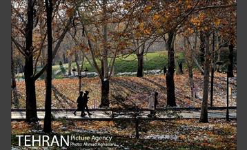 پاییز برفی پارک ملت 12