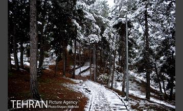 بارش برف پاییزی در بوستان طالقانی 21