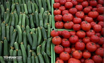 آیین افتتاح ۸ میدان میوه و تره بار سازمان میادین شهرداری 12