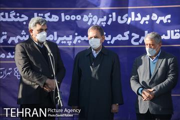 بازدید و افتتاح پروژه جنگل کاری 1000هکتاری در بوستان جنگلی تلو 21