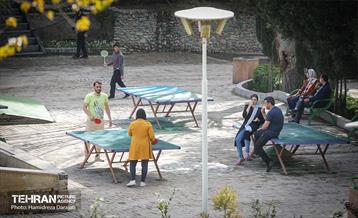 روز طبیعت در پارک ساعی و حاشیه اتوبان مدرس  15