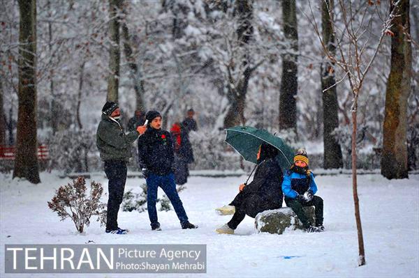 روز برفی در پارک لاله 3
