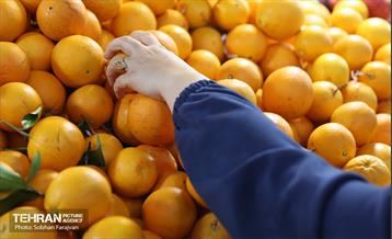 یلدای مادران 18