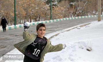 روز برفی در منطقه 13 16