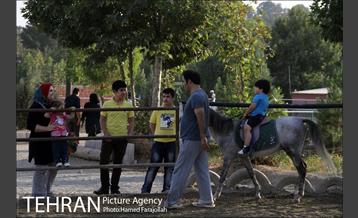 سوارکاری ورزشی برای کودکان‎ 21
