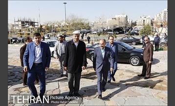 آیین کاشت درخت صلح و دوستی 1