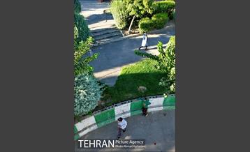 خیابان جنت آباد 16