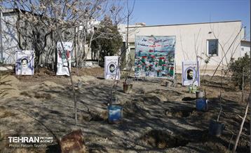 آیین کاشت 1310 نهال در منطقه 5 35