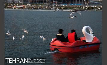 روزهای بهاری دریاچه شهدای خلیج فارس‎ 14