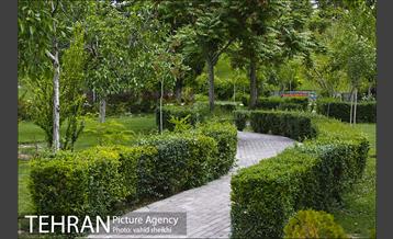 بوستان پلیس 16