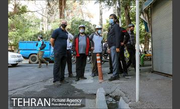 پویش سه شنبه های بدون خودرو در منطقه 8