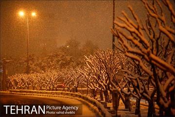 بارش برف در تهران  12