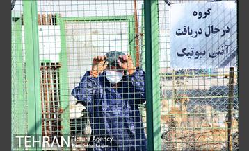 مرکز نگهداری سگ های بدون صاحب  15