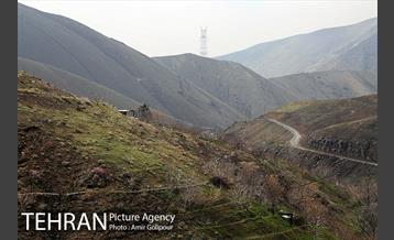 وردیج ، دنیایی از زیبایی 6