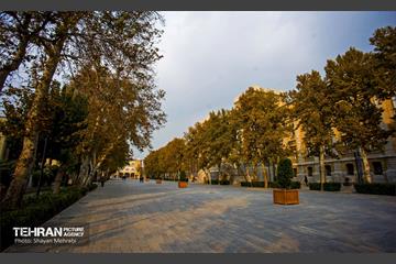 پاییز میدان مشق 5