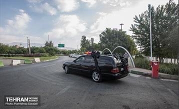 ارشا، ابدی شد 30