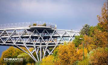 سمفونی رنگ های پاییزی 32