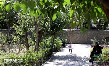 افتتاح بوستان شهدای خدمت و ۲۱۰ پروژه منطقه ۱۰ 6