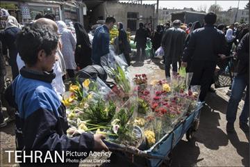 بازار گل شهید محلاتی 20