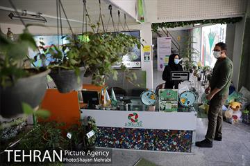 طرح گلماند در منطقه 18