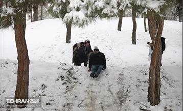 روز برفی تهران - 2 2