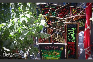 عطر بوی سیب وزیدن گرفت 35