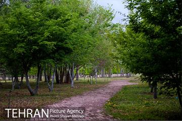 باغ گیاه‌شناسی ملی ایران 23