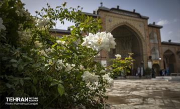 آستان دل ها؛ امامزاده زید(ع) 25