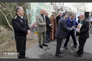جشن درختکاری در منطقه ۵ 12