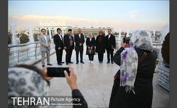 دیدار معاون وزیر خمات عمومی اندونزی با معاون برنامه ریزی 31