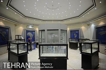 بازدید شهردار بلگراد از موزه طبیعت و حیات وحش دارآباد 12