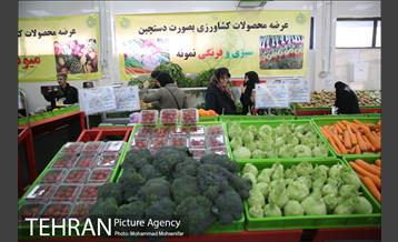 افتتاح پروژه های شهرداری منطقه ۴ 29