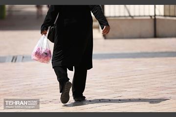 نوزدهمین جشنواره گل و گلاب تهران  8