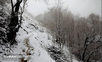 بارش برف زمستانی در تهران 21