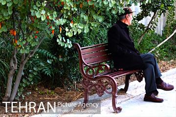 بوستان گفتگو‎ 30