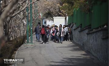 پخش انیمیشن بچه زرنگ برای کودکان کار 2