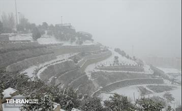 بارش برف زمستانی در منطقه ۲ 16