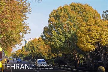 طبیعت پاییزی بلوار کشاورز 13