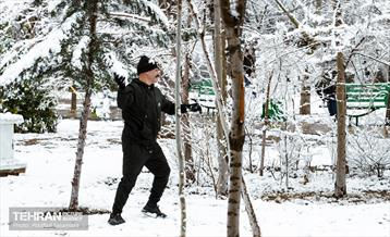 روز برفی در منطقه 8 39