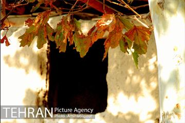 پاییز در روستای ازگی 11