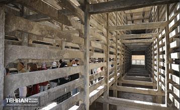 بازدید اعضای سازمان نظام مهندسی از پروژه‌های محله نفرآباد و کارخانه سیمان ری 17