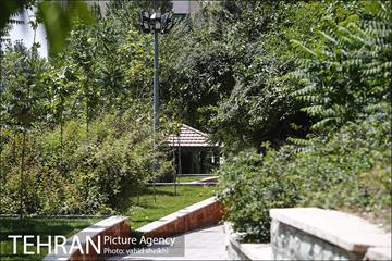 بوستان تندرستی 16