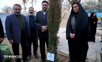 جشن درختکاری در منطقه 18 15