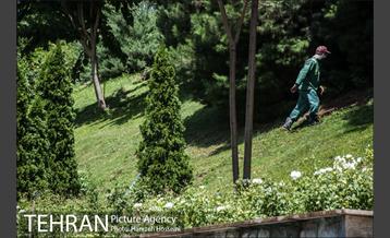 بوستان نهج البلاغه 45