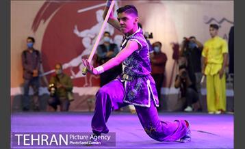 مراسم روز جهانی ووشو 10