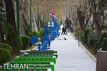 روز طبیعت متفاوت شهر تهران-1 9