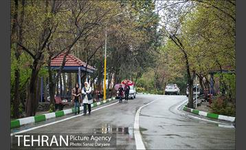 طبیعت بهاری پارک جنگلی لویزان‎  2