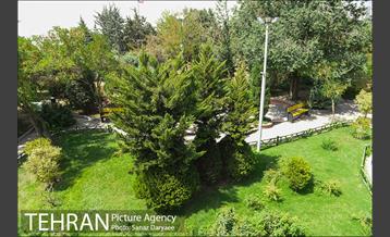 بوستان بهشت مادران 13